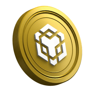 BNB Binance coin displayed on a new trader guide page